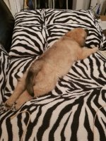 IMG-20171120-WA0000.jpg