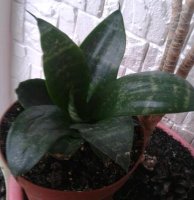 2015-03-31 18.36.59-1.jpg