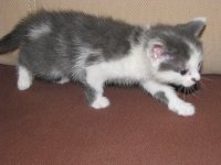 IMG_0904.JPG