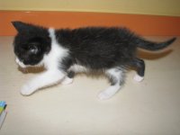 IMG_0879.JPG