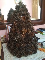IMG_20171202_104457.jpg