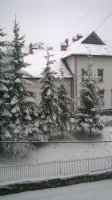WP_20171203_14_36_09_Pro.jpg