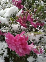 IMG_20171203_151941.jpg