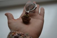 DSC_2686.JPG