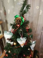 IMG_20171220_173727.jpg