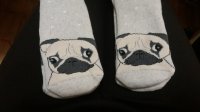 20171222_210037.jpg