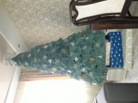 20171224_094722.jpg