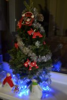 DSC_2799.JPG