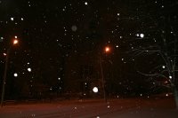 IMG_4803.jpg
