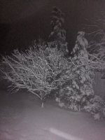IMG_20180204_011851.jpg
