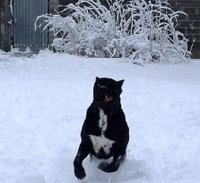 IMG_20180204_162022.jpg