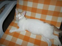 IMG_0181.JPG