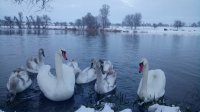 DSC_0178.JPG