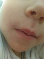 IMG_20180226_093350511.jpg