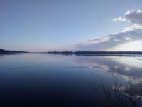 DSC_0299.JPG