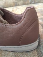 IMG_20180326_162446.jpg