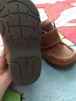 IMG_20180404_094541.jpg