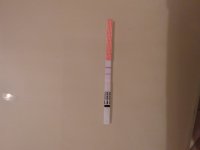 20180411_222915.jpg
