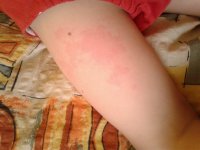 20180412_113918.jpg