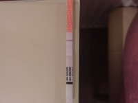 20180412_211720.jpg