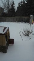 IMG-826b098b5a64d07f11673ec27543c74b-V.jpg