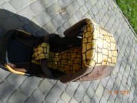 DSCN6252.JPG