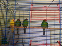 IMG_20170717_150749.jpg
