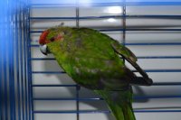 DSC_0262.JPG