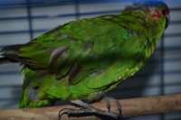 DSC_0265.JPG