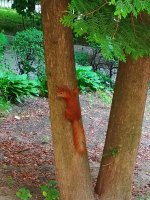 IMG_20180524_084819.jpg