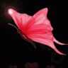 Sitara