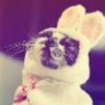 Clementina