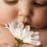 imv