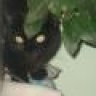 NERKA