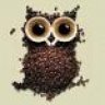 Owlet