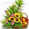 Sweet sunflower