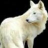 WhiteWolf