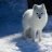 Snowy