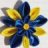 floverstar