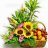 Sweet sunflower